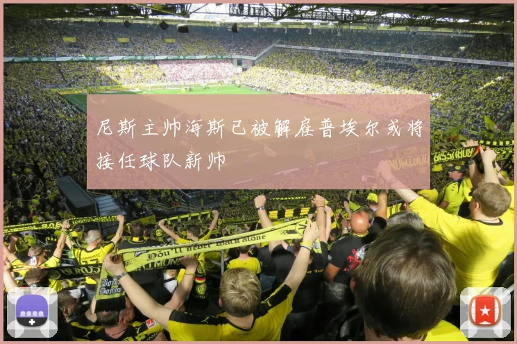 尼斯主帅海斯已被解雇普埃尔或将接任球队新帅