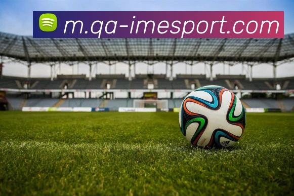 IM电竞平台生态图