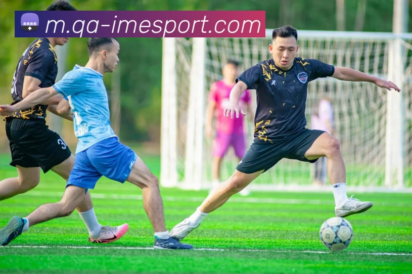 IM电竞APP 封面图